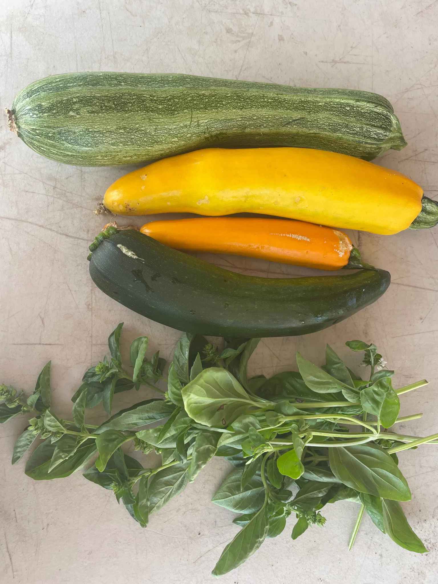 4 summer squashes and basil harvest