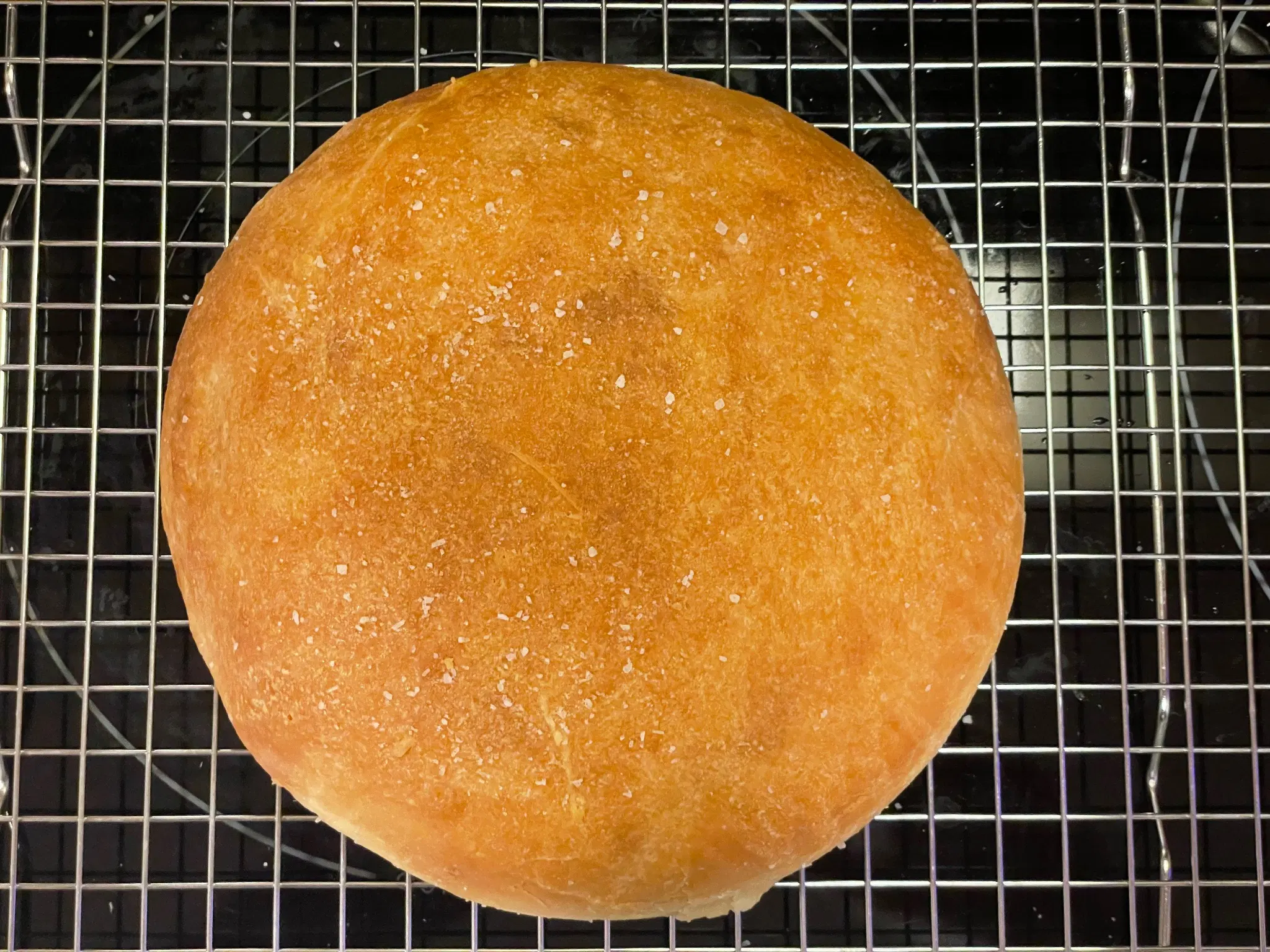 Brown bread in an 8 inch cake tin that it was baked in. Kosher salt is dusted over the top. Shown top down on a glass top stove.